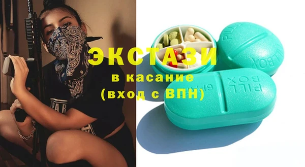 гашик Алексин