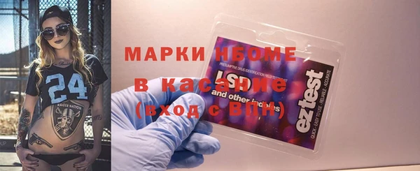 гашик Алексин