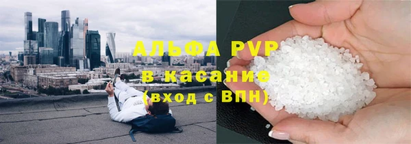 гашик Алексин