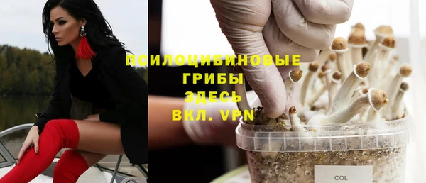ешки Абдулино