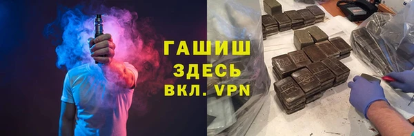 гашик Алексин