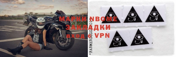 гашик Алексин