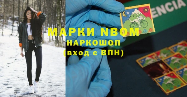 гашик Алексин