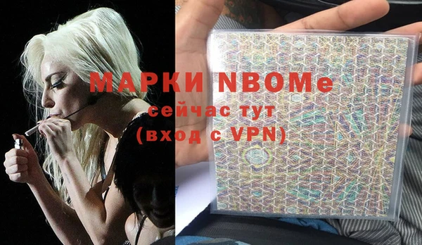 гашик Алексин