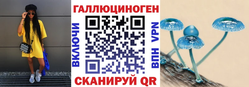 OMG ссылка  Динская  Псилоцибиновые грибы мицелий 